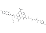 α-Neoendorphin (1-8)