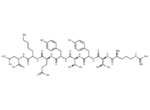 β-catenin peptide