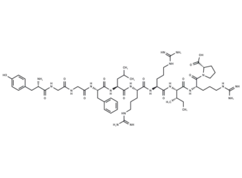 Dynorphin A (1-10)