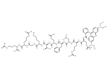 PBP10
