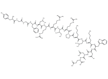 Dynorphin A