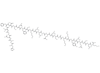 PHM-27 (human)
