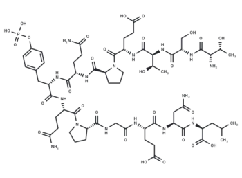 pp60 c-src (521-533) (phosphorylated)