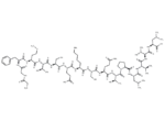 [Des-Tyr1]-gamma-Endorphin