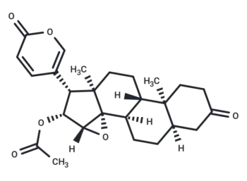 3-Oxo-cinobufagin