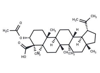 3α-Acetyl-20(29)-lupene-24-oic acid