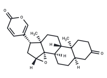 3-Oxo-resibufogenin