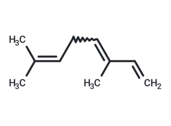 β-Ocimene