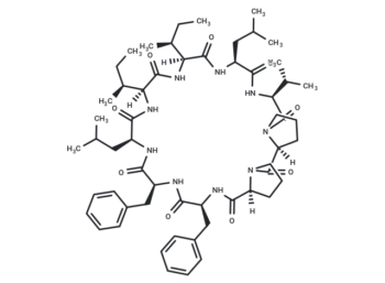 Cyclolinopeptide A