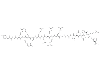Drp1 peptide inhibitor P110