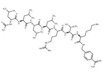PACE4 Inhibitory peptide C23