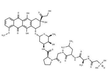 PhAc-ALGP-Dox