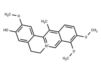 Dehydrocorybulbine chloride
