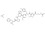 Angiotensin III, human 1 Angiotensin III
