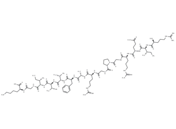 R15K, HIV-1 Inhibitory Peptide