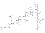 Tyrosine Protein Kinase Substrate