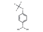 4-(Trifluoromethoxy)phenylboronic acid