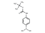 (4-Boc-aminophenyl)boronic acid