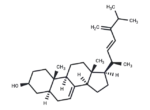 Ergosta-7,22,24(28)-trien-3β-ol 1 Ergosta-7