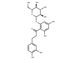 3-Hydroxyphloridzin