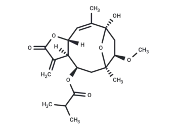 1β-Methoxydiversifolin