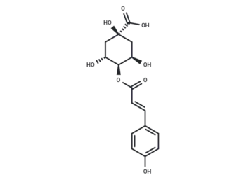 4-p-coumaroylquinic acid