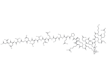 ED11