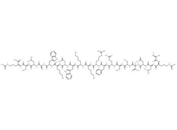 Pro-Adrenomedullin (N-20), rat