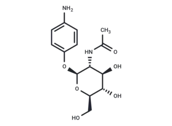4-Aminophenyl 2-(acetylamino)-2-deoxy-β-D-glucopyranoside