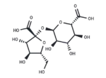 α-D-Glucopyranosiduronic acid