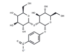 4-Nitrophenyl 2-O-α-D-glucopyranosyl-α-D-glucopyranoside 1 4-Nitrophenyl 2-O-α-D-glucopyranosyl-α-D-glucopyranoside