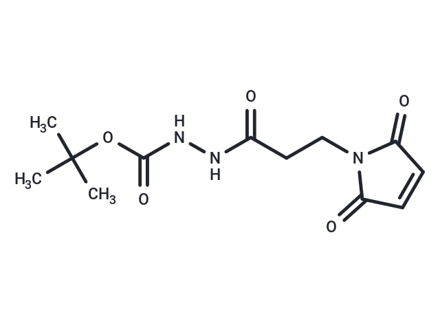 3-(Maleimidopropane-1-carbonyl-1-(tert-butyl)carbazate