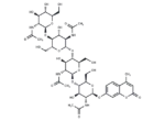 4-Methylumbelliferyl β-D-N,N',N'',N'''-tetraacetylchitotetraoside 1 4-Methylumbelliferyl β-D-N