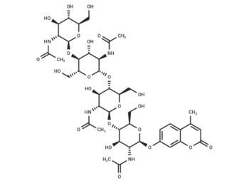 4-Methylumbelliferyl β-D-N,N',N'',N'''-tetraacetylchitotetraoside