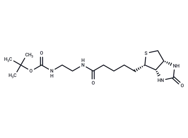 N-Boc-Biotinylethylenediamine