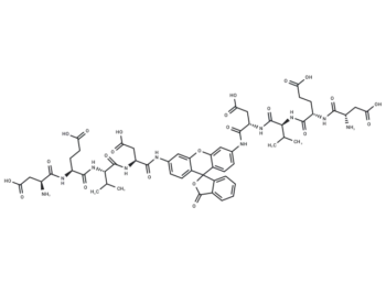 (Z-Asp-Glu-Val-Asp)2-Rh110