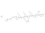 SV40 large T antigen NLS acetate