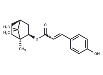 Biondinin C