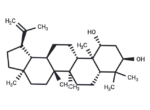 Glochidiol 1 Glochidiol