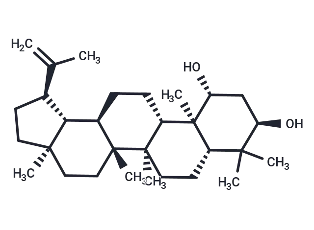 Glochidiol CgoaEWY7K qERIdAAAAAAPzjjKA659- Immunomart