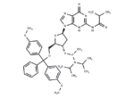 5′-DMTr-dG(iBu)   -Methyl phosphonamidite