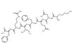 AF1 Neuropeptide