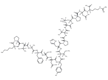 coagulation factor II (thrombin) B chain fragment [Homo sapiens]