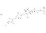 ACTH (1-17) acetate 1 ACTH (1-17) acetate