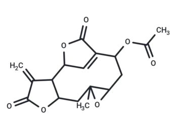 Scandenolide