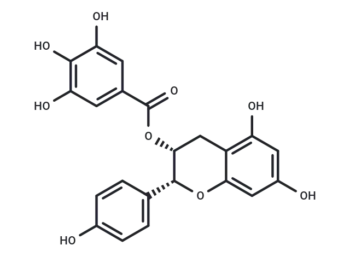(-)-Epiafzelechin 3-O-gallate