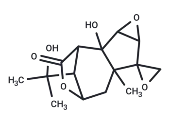 Coriatin