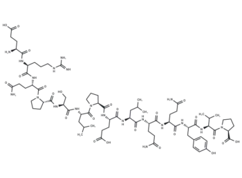 Relaxin C-peptide