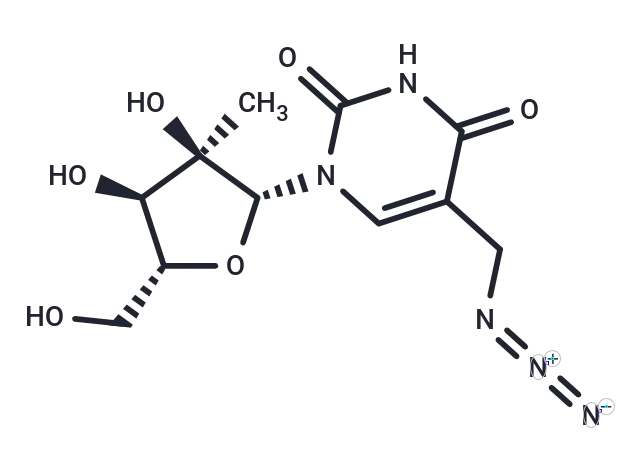 5-Azidomethyl-2'-beta-methyl uridine CgoaEWY7LXGEe l9AAAAAIoE9ZM589- Immunomart