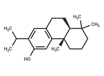 Ferruginol